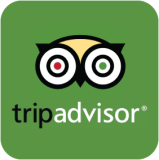 TripAdvisor Reviews Logo